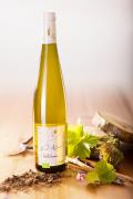 Pinot Blanc Organic 2021 - AOC Alsace