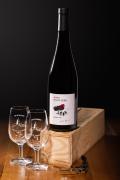 Pinot Noir Rendez-vous 2020 - AOC Alsace