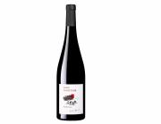 Alsace Pinot Noir "Rendez-vous" 2020