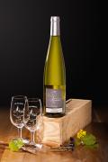 Sylvaner Origine 2022 - AOC Alsace