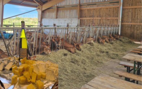 La Cave du Vieil Armand s'invite &agrave; la Ferme Krust 